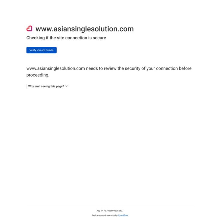 asiansinglesolution Review